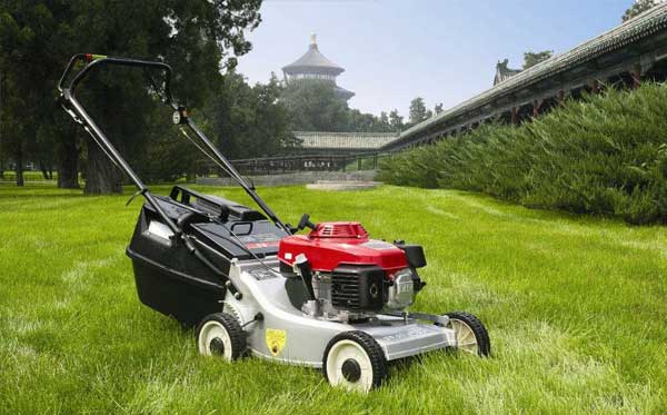 政企单位绿化养护