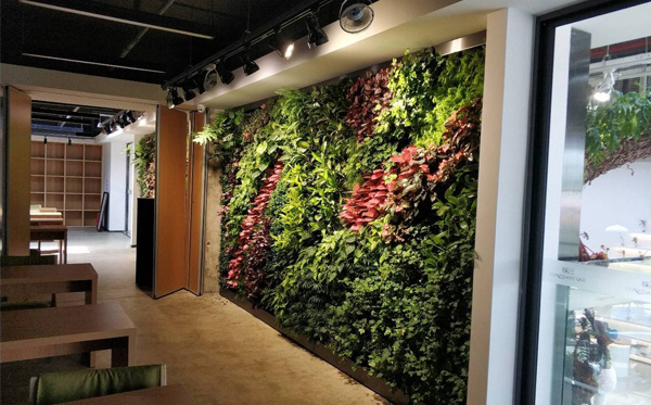 仿真植物墙