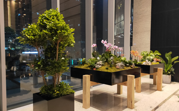 物业大楼绿植租赁